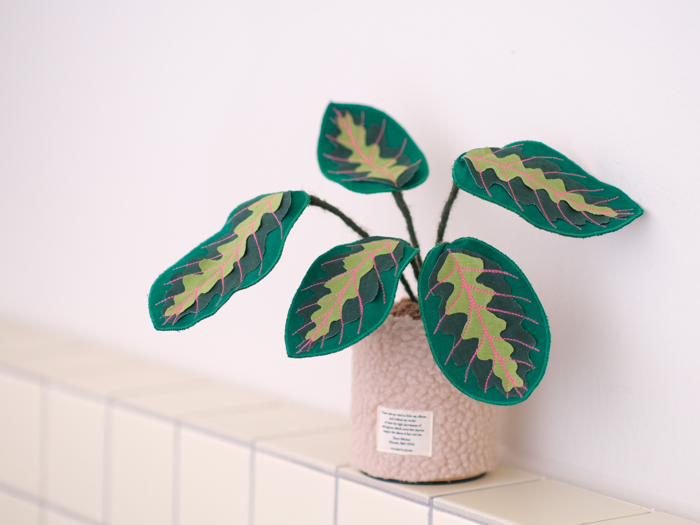 패브릭 희귀 식물 - 마란타