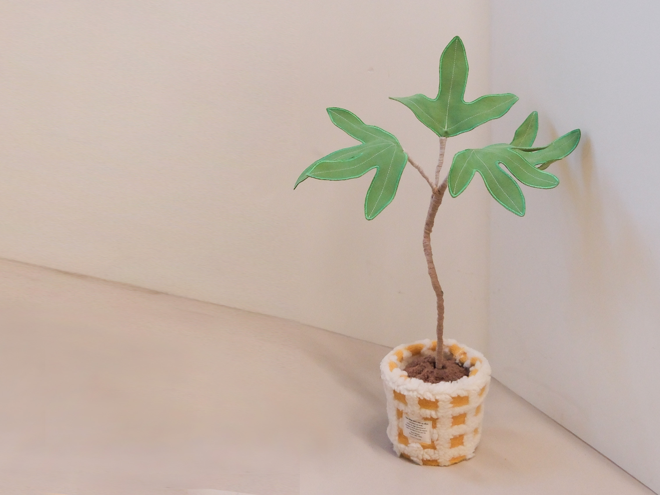 패브릭 중형 식물 - 황칠나무